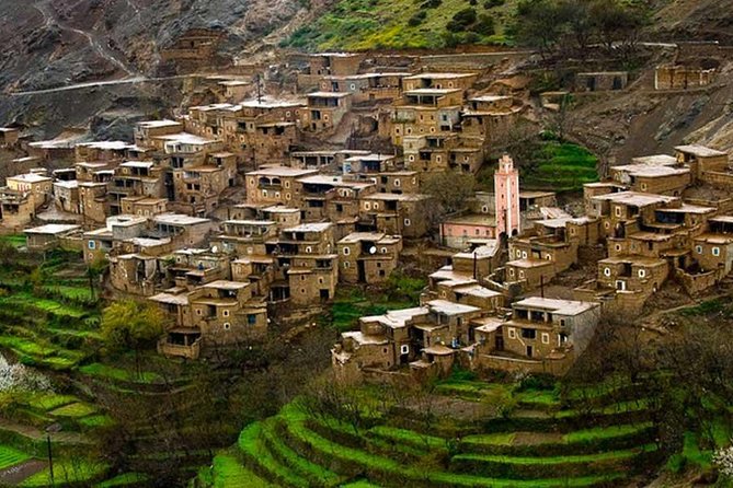 riad zina
